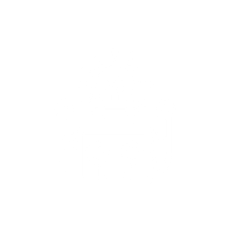 Icon Innovation