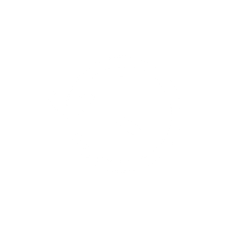 Icon Reinigung